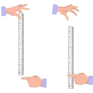Reaction Stick: React Time Ruler Test .